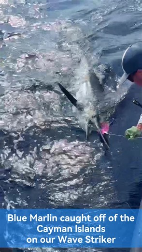 Blue Marlin caught off of Cayman Islands on our Wave Striker #biggamefishing #marlin #cayman #offshorefishing #bluefin