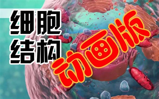 【科普】生物细胞结构简介英文动画版中文字幕高中学习视频国外教育科学资料