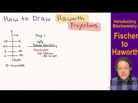 Carbohydrates: How to Draw Fischer to Haworth Projections using Mannose