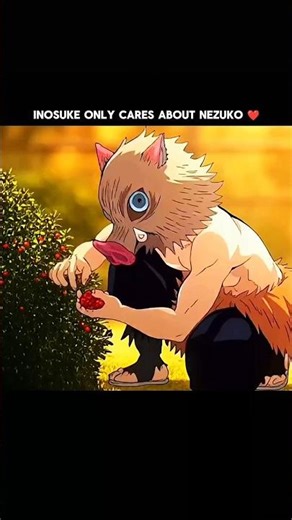 Inosuke only cares about nezuko ❤️#demonslayer #animeseries #mangaseries