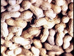 Good Question: What’s the difference between allergy and intolerance?
