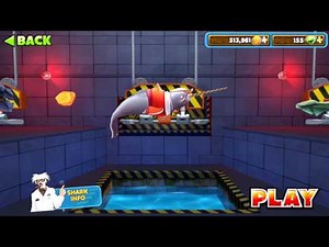 ALL SHARKS INFO ! - All Baby Sharks Info (for Beginners) - Hungry Shark Evolution