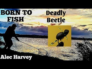 FLY TYING - A DEADLY FOAM BEETLE