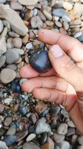 Piedras comunes... ¿o minerales valiosos? 🤔