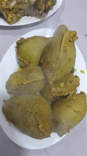 Sairan (@sairan.koye)s videor med original sound - kurdo