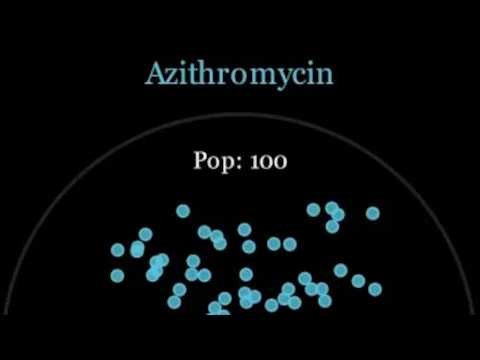 Binary Fission as a Homogeneous Branching Process