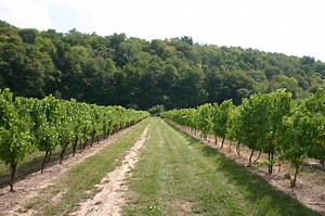 Beamsville Bench - Ontario Wine Appellation Authority