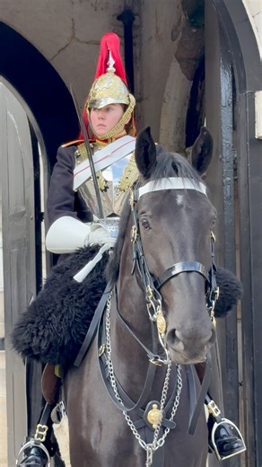 24K views · 467 reactions | Women in Uniform! Blues and Royals Female Guard on Royal Duty #HorseGuards #BluesAndRoyals #KingsLifeGuard #FemaleSoldier #BritishArmy #RoyalTradition #LondonLife #ViralReels | The Royal King’s Guards Reel | Facebook