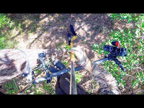 Hog Hunting With a SPEAR!