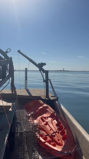 Ralph Corsini on Reels