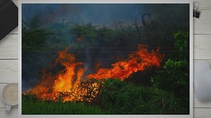 The Causes of Wildfires: Unveiling the Complexities