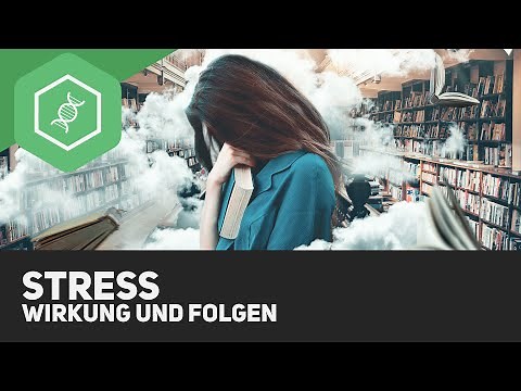 Stress - effects and consequences