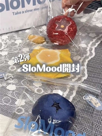 ピグモンの臓物と果物の質感解説