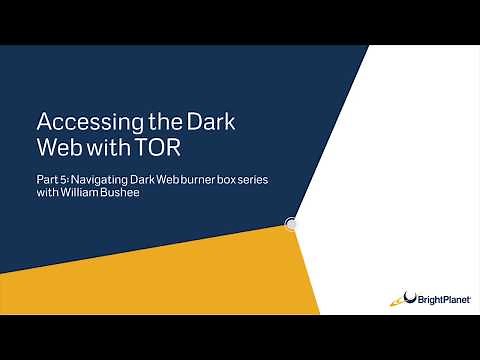Accessing the Dark Web with TOR on a Ubuntu Virtual Machine