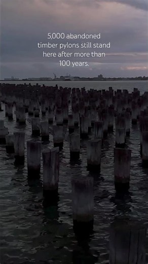 These Timber Piles Witnessed War & Migration | Princes Pier 🇦🇺