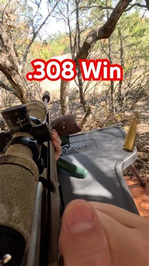 Ruger American Gen 2 Predator | .308 Winchester Bolt Action #gunshorts