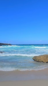 𝗪𝗲 𝗲𝘅𝗽𝗹𝗼𝗿𝗲𝗱 𝗔𝗿𝘂𝗯𝗮 𝘄𝗶𝘁𝗵 𝗘𝗙𝗘 𝗔𝗿𝘂𝗯𝗮 𝗝𝗲𝗲𝗽 𝗥𝗲𝗻𝘁𝗮𝗹! 🌟 😍 The island’s wild beauty is just a drive away. Download Aruba Smart Map now and rent your jeep to reach the most beautiful parts. #ArubaSmartMap #EFEArubaJeepRental #Aruba #OneHappyIsland #Adventure #ExploreLikeALocal #TheBeautyOfAruba | Aruba Smart Map