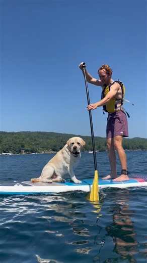 14K views · 120 reactions |  Paddle into paradise with Lake George Kayak Company in Bolton Landing! ‍♀️ Rent a kayak, canoe, or SUP from their historic boathouse, gear up at the paddleshop, and bring your pup along for an unforgettable day on one of New York’s most beautiful lakes. YES, they’re dog-friendly!  3 Boathouse Lane Bolton Landing, NY 12814 Book your adventure today and make a splash!  | LakeGeorge.com | Facebook
