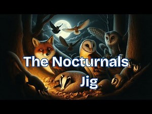 Nocturnals Jig - Fiddle & Mandola