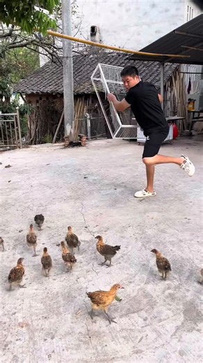 The_Best_Cool_Gadgets on Instagram: "😍😍 . . #reelsinstagram #trendingreels #msdon #reels"