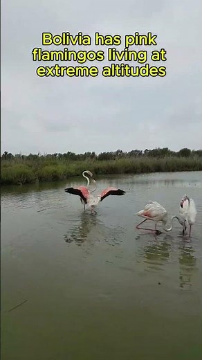 Hidden facts about Bolivia