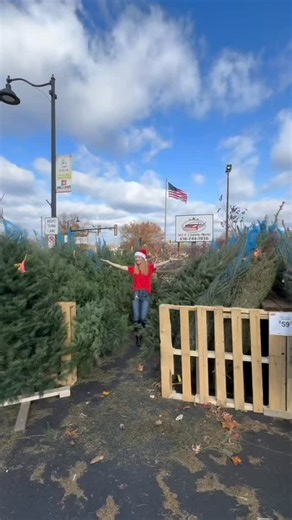 Live Christmas trees are here! 🎄 | Home-Brite Ace Hardware