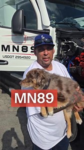 We're hiring CDL-A LEASE OPERATORS! Check out the full description and APPLY NOW. 🚛 ✅ Lease a truck from $700 per week ✅ 50% OFF on your first lease payment ✅ NO ESCROW (first 4 weeks) ✅ NO TRUCK DEPOSIT (first 4 weeks) ✅ 2021-2026 truck models ✅ Peterbilt, Freightliner, Kenworth, Mack, Volvo, International ✅ 1.5 years to 4 years program ✅ ZERO money out of pocket ✅ Flexible deal ✅ RATE CONFIRMATIONS AVAILABLE ✅ Full Transparency Provided ✅ Highest Paying Loads ✅ Dedicated lanes available ✅ Per