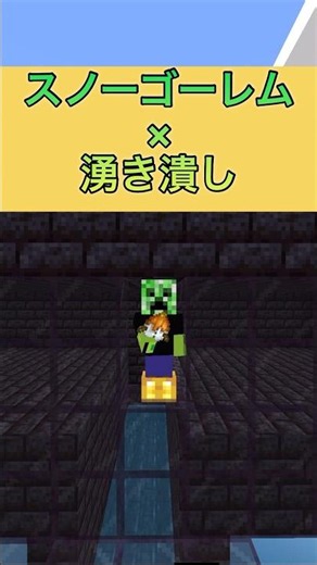 If a Snow Golem walks… will it spawn-proof? #Minecraft #minecraft