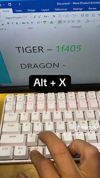 Microsoft Word Tiger & Dragon Icon Tips