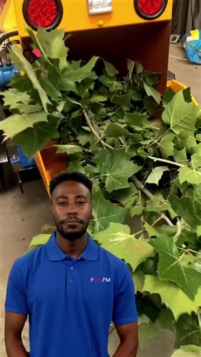 tree branch shredder machine 1tph log #fcnfm #fyp #treebranch #tiktok