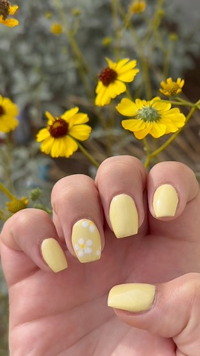 Simple Daisy nails🌼💛 #daisynails #nailvlog #naildesign #nailart #newnails #nailsalon #springnails #nailinspo | Peachyyymaddii