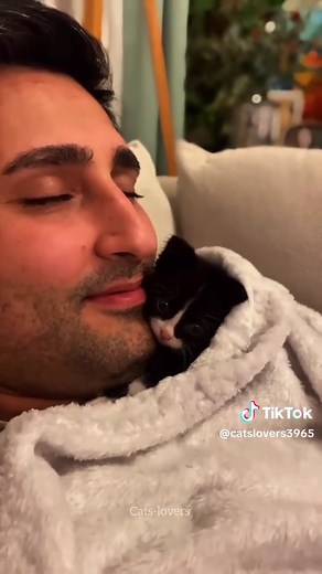 Adorable Tiny Kittens That Melt Your Heart