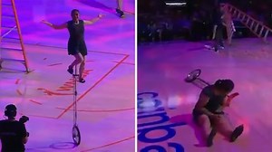 Performer Red Panda Injured In Fall At Fever Game