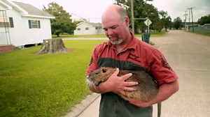 Rodents of Unusual Size Reviews - Metacritic