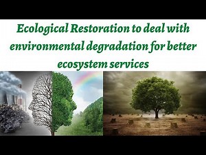Ecological Restoration as a Science/discipline to solve the problem of environmental degradation