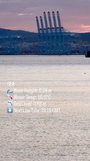 2.6K views · 24 reactions | MAASTRICHT MAERSK one of the worlds...