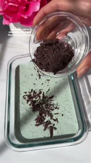 HIGH PROTEIN MINT CHOCOLATE CHIP ICE CREAM 🍨🌱