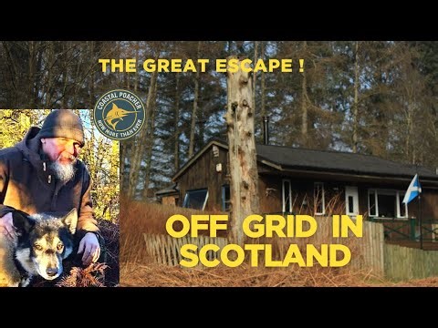 When modern life failed us, we chose walking away from everything — This Is Life Off-Grid.