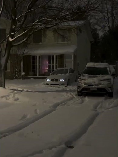 Hiding in the Cold Snow Pile 👀#bmw#bmwe39#e39#bmwlovers#cars#car#caredit#shorts#subscribers