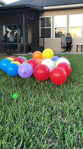 30K views · 138 reactions | Balloons Beware! #doggo #poppunk #funnypets #baloons | Poke My Heart | Facebook