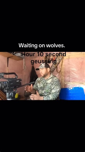 North Mountain Adventures on Instagram: "Just some added fun in the stand while waiting on the most elusive animal in North America. @all_terrain_bear_hunts @skrecanada @skregear #northmountainadventures #wolf"