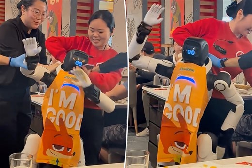 Dancing robot seen dragged away by panicked restaurant staff after going haywire in bizarre video: ‘Actually scary’ ...Middle East