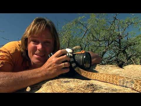 Austin Stevens - Snakemaster - Rattlers of the wild west