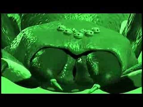 Beast Wars: Custom Predacon Opening