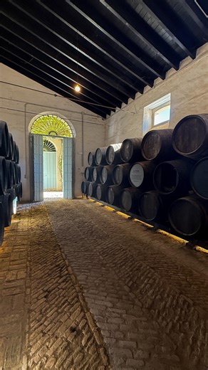 Museo Bodegas Góngora Recorre nuestro lagar del siglo XVI, declarado Bien de Interés Cultural, y descubre cómo la séptima generación de la familia Góngora mantiene vivo un legado de casi 350 años. Cada visita es un encuentro íntimo, guiado por quienes custodian el alma de esta casa, donde tradición y pasión se respiran en cada rincón. 🥂 Ven a conocer la segunda bodega más antigua de España y brinda con nosotros por la historia, el vino y la vida. 📍 Sevilla, Aljarafe. Reserva tu visita y déjate