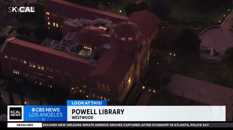 Powell Library | Look At This!