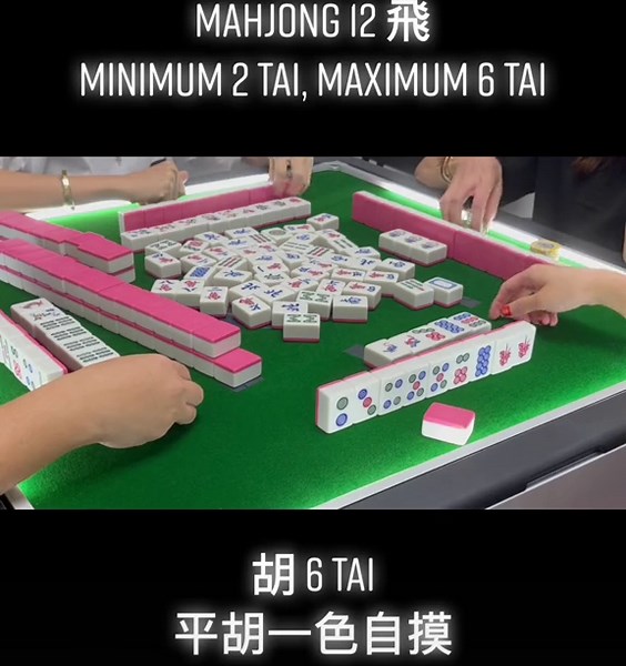 平胡一色自摸 🀄️ #mahjong #mahjongwithfei #sgmahjong #automaticmahjongtable #sgmj #mj #3pmahjong #mahjongtok #mj #fyp #sgtiktok #sgfyp #mahjong12fei #麻将 #麻将飛 #新加坡麻将 #自动麻将桌 #麻将机 #飛