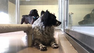 7.2K views · 140 reactions | 9/17 Dempsy is no longer listed....