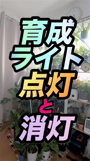 💡育成ライトの点灯と消灯 #育成ライト #日照時間 #体内時計 #サーカディアンリズム #朝 #夜 #点灯 #消灯 #観葉植物 #観葉植物初心者 #観葉植物の育て方