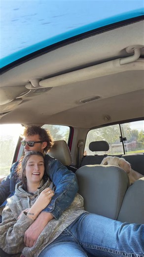 Michigan road trip with a golden retriever